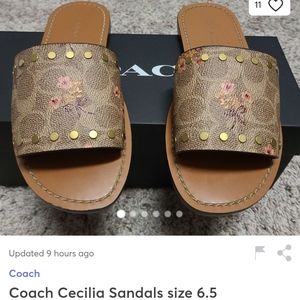 Searching to buy these coach sandals